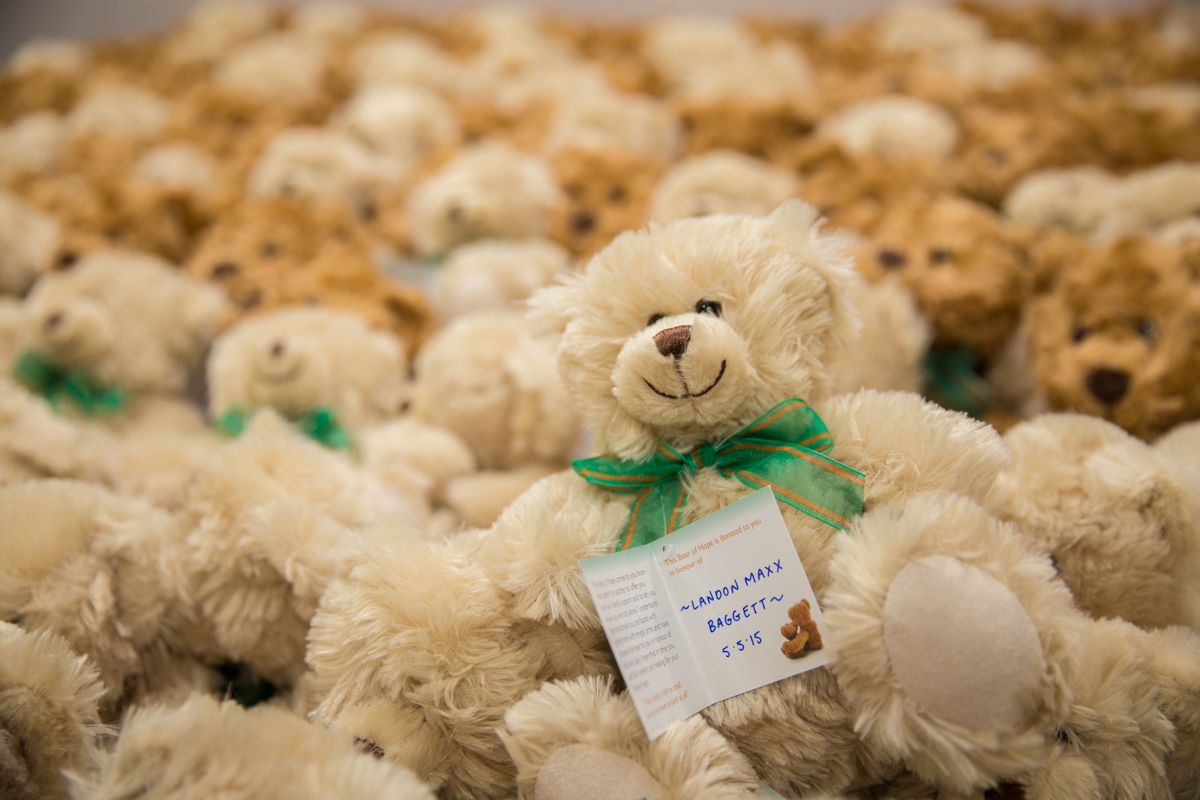 Bears of Hope Pregnancy & Infant Loss Support. (Source: Supplied)