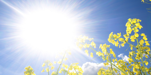 The real future of financial planning is bright light and fresh air – if we want it